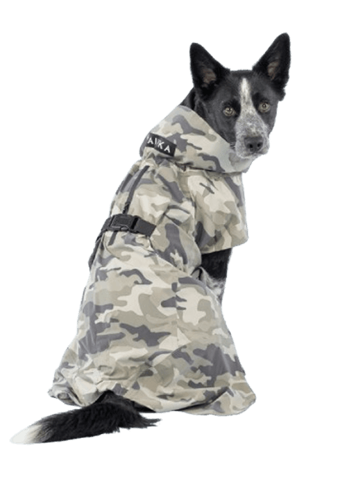 Dog rain coat